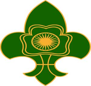 SCOUTS